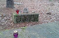 Cmentarz w Radości - 70 lat po Zagładzie