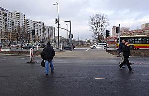 Zebra-widmo na Górczewskiej