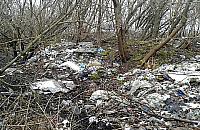 Uroczysko Las Bródnowski - fantastyczne atrakcje