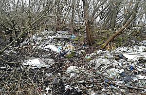 Uroczysko Las Bródnowski - fantastyczne atrakcje