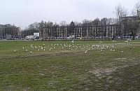 Ten beznadziejny Słodowiec. Nigdy nie będzie lepiej?