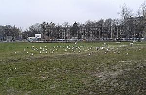 Ten beznadziejny Słodowiec. Nigdy nie będzie lepiej?