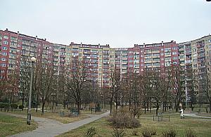 Okrąglak: nie zaglądają sąsiadom w okna