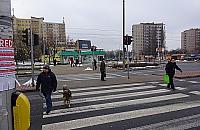 Sami proszą się o tragedię