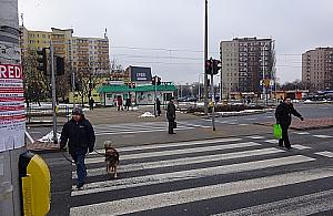 Sami proszą się o tragedię