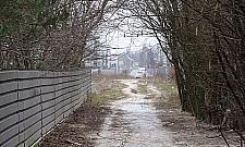 Przedłużą Coopera za dwa lata. By nie zniszczyć nawierzchni