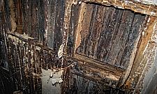 Nawiedzony dom w Aninie przy Tulipanowej?