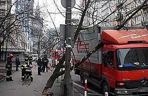 Uwaga na spadające gałęzie!