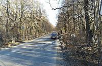 Elektrobus wjechał na Dewajtis... i ledwo zawrócił