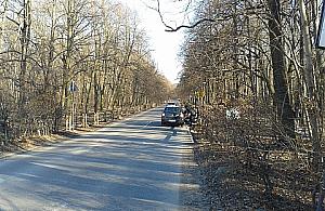 Elektrobus wjechał na Dewajtis... i ledwo zawrócił