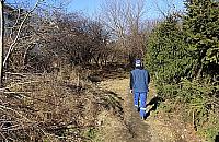 Śmietnisko na Górczewskiej znika w oczach