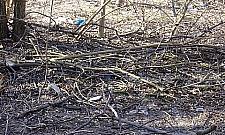 Śmietnisko na Górczewskiej znika w oczach