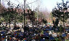 "Nie" dla zwierzęcego krematorium w Łajskach