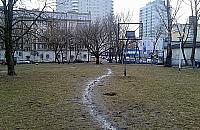 Co zrobić ze skwerem na skrzyżowaniu Wolskiej i Płockiej?