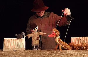 Niedzielne bajeczki: Znajdę przyjaciela