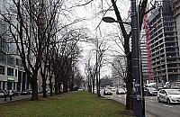 Latarnie od dw�ch lat o�wietlaj�... trawnik. Tu b�dzie �cie�ka rowerowa