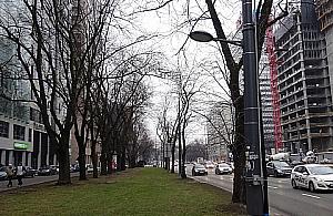 Latarnie od dwóch lat oświetlają... trawnik. Tu będzie ścieżka rowerowa