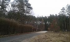 Jabłonna stawia latarnie. W lesie