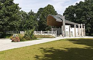 Falenica ma na siebie mnóstwo pomysłów