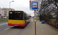Brakuje wiat przystankowych. I żadnych wielkich zmian nie będzie