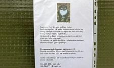 Kto widział kociego arystokratę?