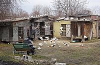 Zaczarowany świat ulicy Wartkiej