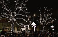 Ulica Światowida drugim Krakowskim Przedmieściem?