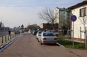 Beztroskie parkowanie na zakazie