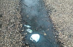 Tak wygląda nasz Potok Bielański. Ręce opadają