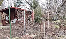 Dzik jest dziki. Zniszczył ogródki działkowe przy Radiowej