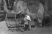 Blaszany słoń wróci na Bielany. Może też w postaci zabawek