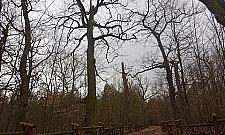 Blaszany słoń wróci na Bielany. Może też w postaci zabawek