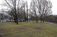 Skwer Pacaka nie zostanie zabudowany