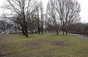 Skwer Pacaka nie zostanie zabudowany