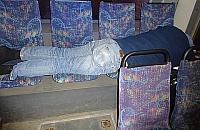 Awantura w nocnym na Światowida