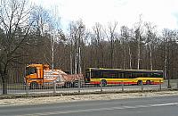 Neoplany na wymarciu. Przeżyły dwie dekady