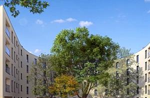 Dąb zasadzony, czas zbudować dom