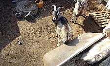 Nokturnu, dawniej Chopina - ulica z wyrokiem śmierci