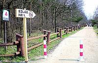 Targówek będzie miał Aleję Gwiazd bez gwiazd?