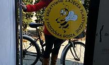 Pozytywnie zakręcona - Pszczółka Gosia