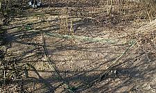 Emeryt łapał w sidła ptaki. "Tak pięknie śpiewają"