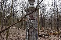 W Lesie Bielańskim można trafić na prawdziwe cudeńka