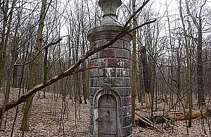 W Lesie Bielańskim można trafić na prawdziwe cudeńka