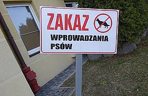 Zakazy wyprowadzania psów na trawniki są nielegalne