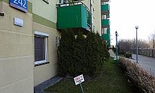 Zakazy wyprowadzania psów na trawniki są nielegalne