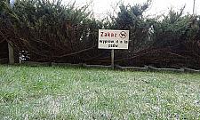 Zakazy wyprowadzania psów na trawniki są nielegalne