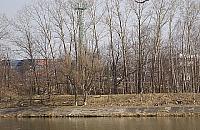 Wytną 1400 drzew nad Kanałem Żerańskim. Dla ekologii w EC Żerań