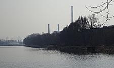 Wytną 1400 drzew nad Kanałem Żerańskim. Dla ekologii w EC Żerań