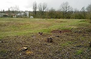 Będzie Lidl przy Trakcie Lubelskim