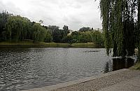 Czy na Woli (za)mieszkają motyle?